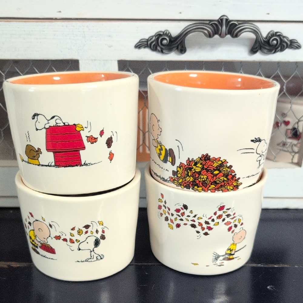 RAE DUNN X PEANUTS SET OF 4 RAMEKINS